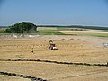 DSCF2314.JPG