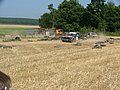 DSCF2366.JPG