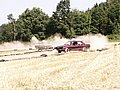 PICT0010.JPG